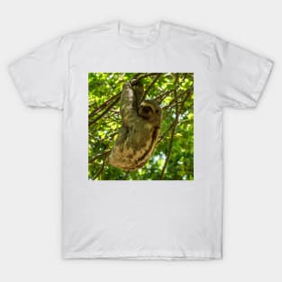 cbs Sloth T-Shirt